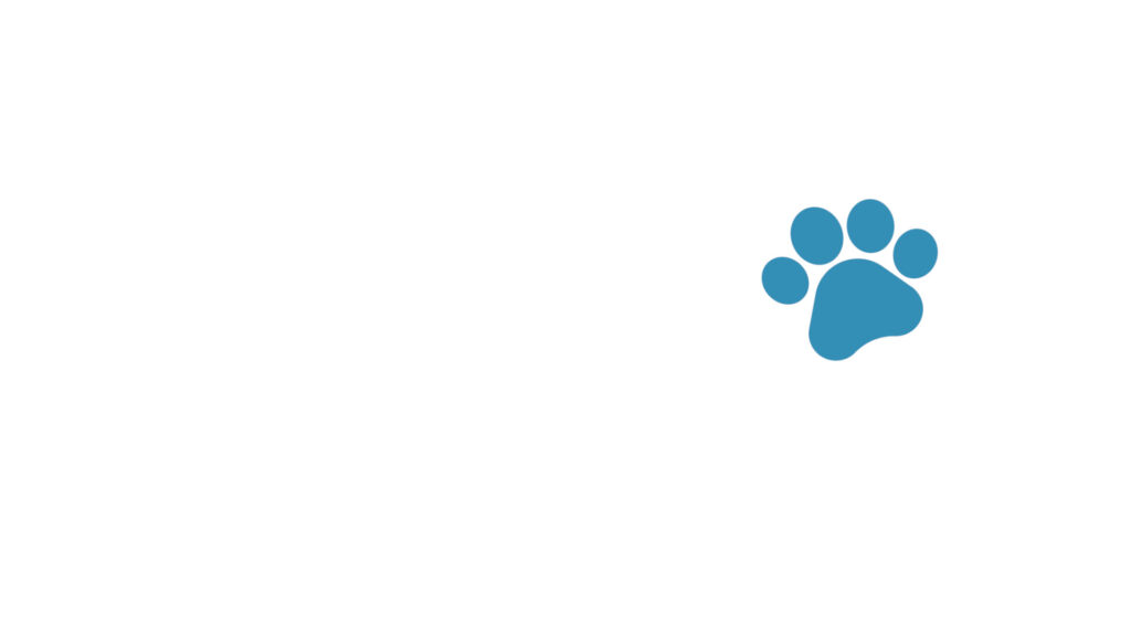 Veterinar la domiciliu Bucuresti