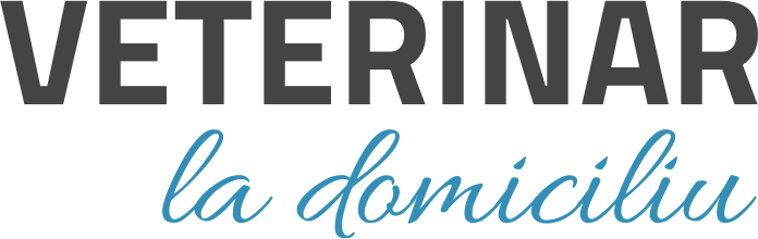Veterinar la domiciliu Bucuresti