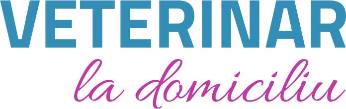 Veterinar la domiciliu Bucuresti