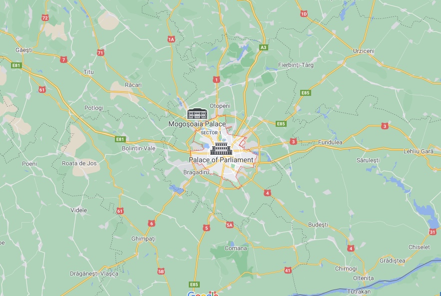 Veterinar la domiciliu Bucuresti
