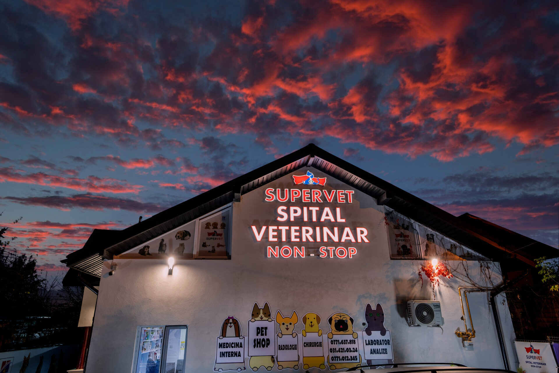 Veterinar la domiciliu Bucuresti