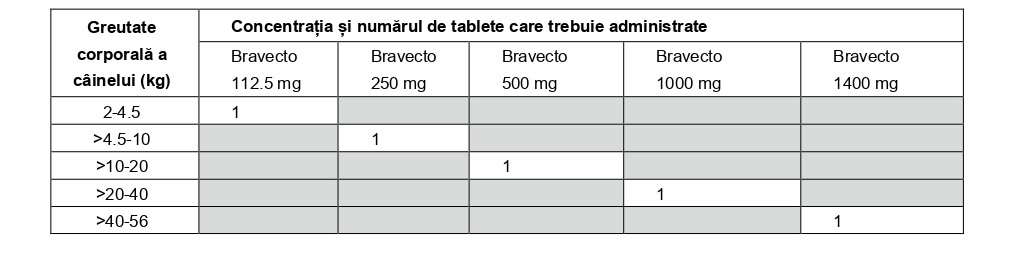 Veterinar la domiciliu Bucuresti