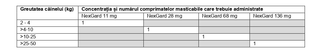 Veterinar la domiciliu Bucuresti