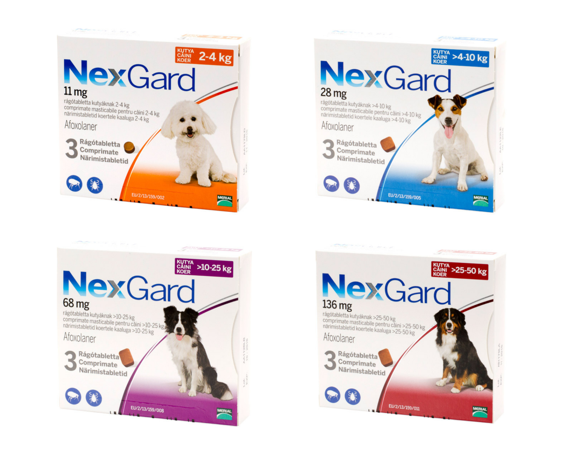 Veterinar la domiciliu Bucuresti