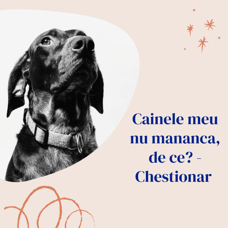 cainele meu nu mananca