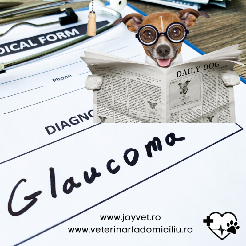 glaucom la caine