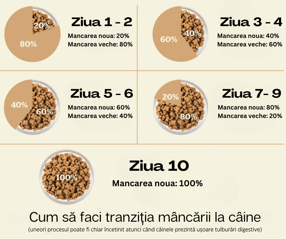 Veterinar la domiciliu Bucuresti