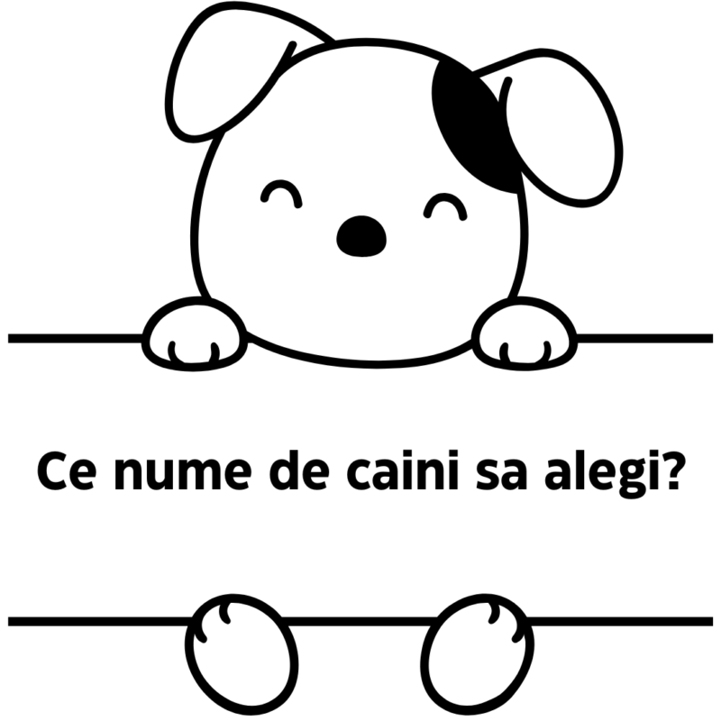 Ce nume de caini sa alegi