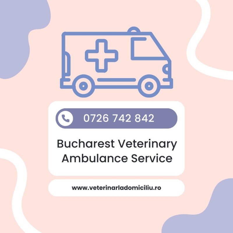 veterinary ambulance bucharest