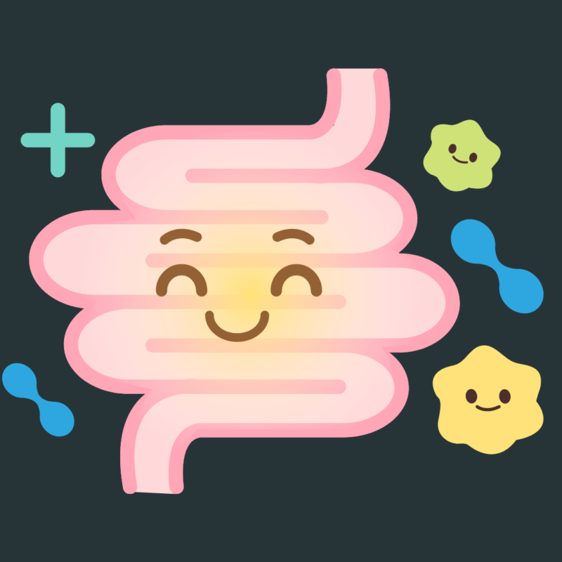 probiotice la caini si pisici