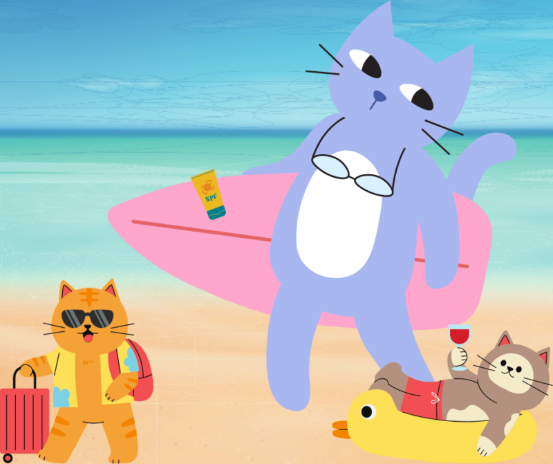 protectie solara pisici